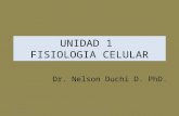Unidad 1fisiologia Celular
