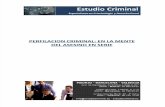 Curso de Perfilacion Criminal - En La Mente Del Asesino en Serie
