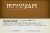 Metalurgia de Los Minerales