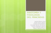 Anatomc3ada y Fisiologc pancreas