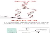 Replicacion -Reparacion DNA