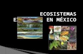 Ecosistemas Existente en México
