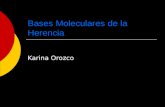 Bases Moleculares de La Herencia
