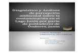 DIAGNOSTICO Y ANALISIS PERCEPCION POBLACION DE ONDORES.pdf