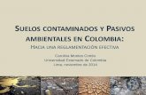 04 Carolina Montes Suelos Contaminados Pasivos Ambientales