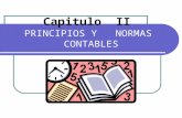 Principios y Normas Contables_2!05!15