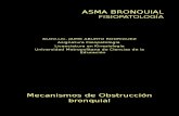 Asma Fisiopatologia