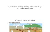 Ciclos biogeoquímicos (1)