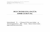 Bacterias Heterotrofas