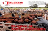 PECUARIA Y NEGOCIOS - AÑO 11 - NUMERO 131 - JUNIO 2015 - PARAGUAY - PORTALGUARANI