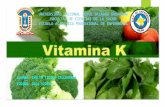 Vitamina k - Nutricion