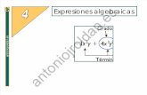 Expresiones algebraicas.pdf