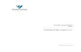 Estados Financieros (PDF)76786670 201212