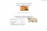 Anatomía y Fisiología delSistema Esquelético