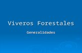Curso Viveros Forestales 2014