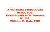 Anatomía Fisiología Insectos. Exoesqueleto. Versión 01.i02. William e. Dale Phd.