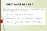 Campos Vectoriales e Integrales de Linea