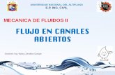 11 canales.pdf
