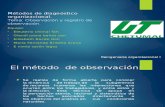 Observacion y Registro de ObservacionII