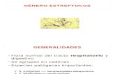 Diapositivas Tema 12.2. Género Streptococcus. Género Enterococcus