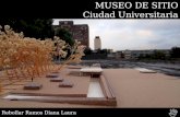 Museo de Sitio en Espejo de Agua, Ciudad Universitaria