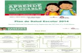 Plan de Salud Escolar MARZO 2014.pdf