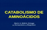 12. Metabolismo de Aminoácidos (2)