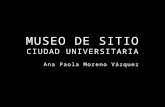 Museo de Sitio CU. Ana Paola Moreno Vázquez
