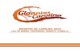 Presentación Propuesta Gigantes de Carolina 2015