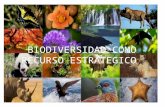 Biodiversidad Como Recurso Estrategico