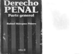 Derecho Penal - Rafael Marquez Piñero (1)