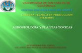 Presentación agrostologia 1.