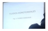 FLUIDOS HIDROTERMALES