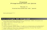 Programacion en Java 6 t01 Caracteristicas Java