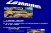 La Madera II