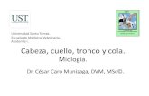 005 Miologia Cabeza Cuello Tronco y Cola.