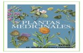 Álbum de plantas medicinales