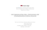 Optimizacion Del Proceso DeTronadura en Rajos