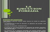 evy-la-ejecucion-forzada1-150704212918-lva1-app6892 (1)