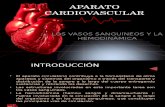9. Aparato Cardiovascular