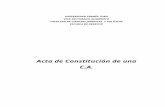 Acta Constitutiva de Una C.A