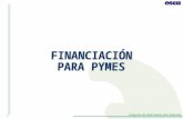 Caja Madrid FinanciaciónPymes - Profesor