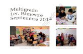 Multigrado 1er Bimestre 2014 (Septiembre)