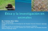 Bioetica - Etica en Investigación en Animales