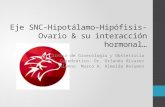 Eje SNC–Hipotálamo–Hipófisis-Ovario & Su Interacción Hormonal