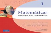 Matemáticas I. La Inducción a Las Competencias