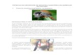Tecnicas de Obtencion en Animales Silvestres