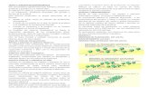 Articulo revista forestacion