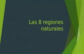 Las 8 Regiones Naturales