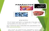 parasitos micro.pptx